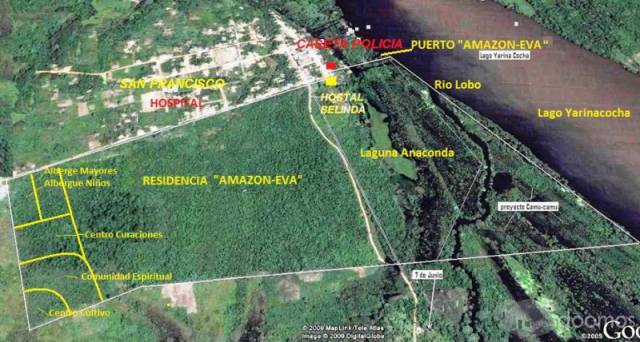 Amazon Eva -Proyecto Selva