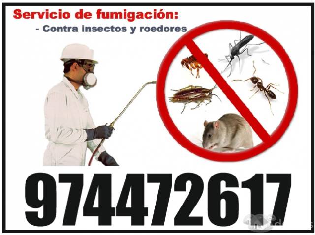 Servicio de Fumigacion de casas en Trujillo 974472617